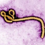 ebola